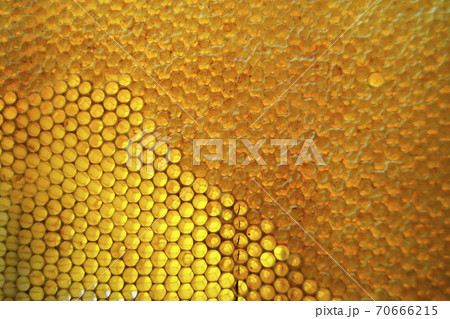 Drop of bee honey drip from hexagonal honeycombs 70666215