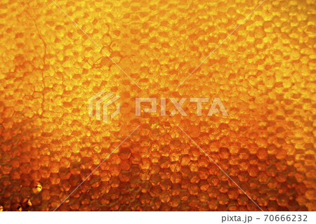Drop of bee honey drip from hexagonal honeycombs Drop of bee honey drip from hexagonal honeycombs 70666232