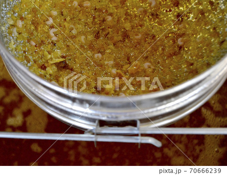 Drop of bee honey drip from hexagonal honeycombs Drop of bee honey drip from hexagonal honeycombs 70666239