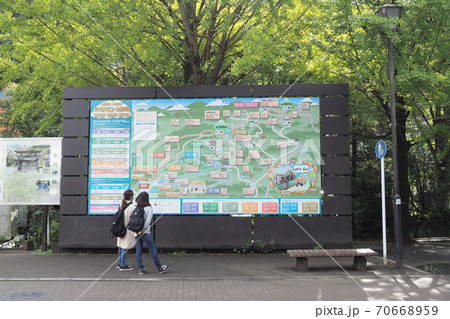 高尾山のハイキングコースの案内板を見る人達 高尾山のハイキングコースの案内板を見る人達 70668959