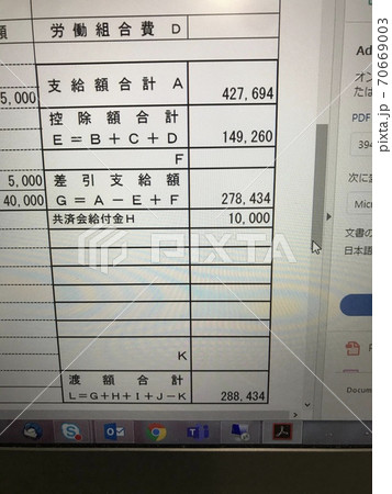 給与明細 70669003