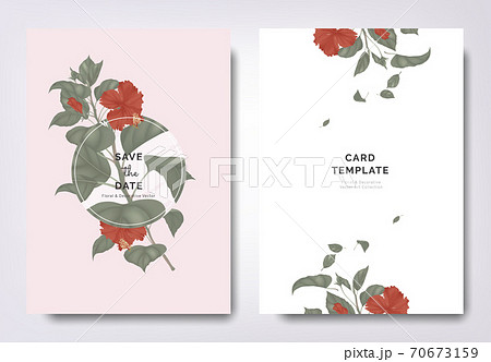 Botanical wedding invitation card template design, red hibiscus flowers and leaves Botanical wedding invitation card template design, red hibiscus flowers and leaves 70673159