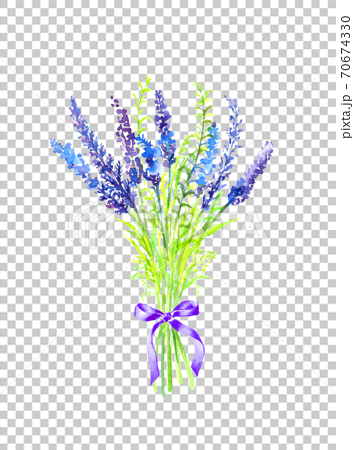 水彩で描いたラベンダーの花束のイラストのイラスト素材