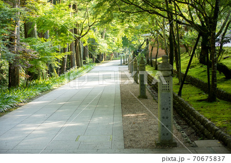 袋井　法多山　参道 70675837