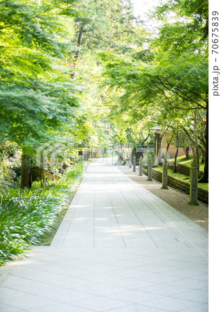 袋井　法多山　参道 70675839