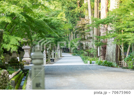 袋井 法多山 参道 袋井 法多山 参道 70675960