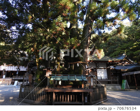 山辺の道 大神神社 山辺の道 大神神社 70676534