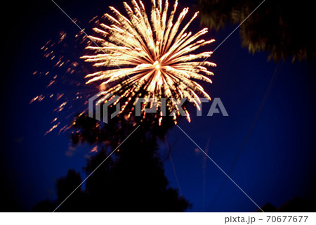 Festive multicolored salute on the background dark night sky. Salute from the pyrotechnics 70677677