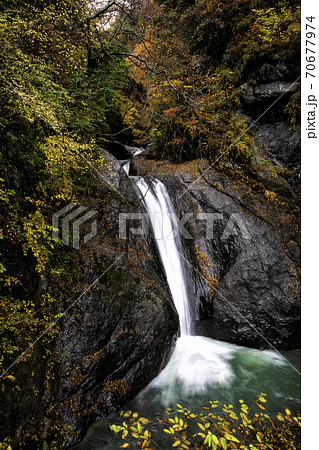 富士川町 大柳川渓谷の天渕の滝の紅葉の写真素材
