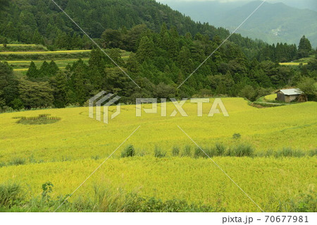 吉延のアート棚田 吉延のアート棚田 70677981