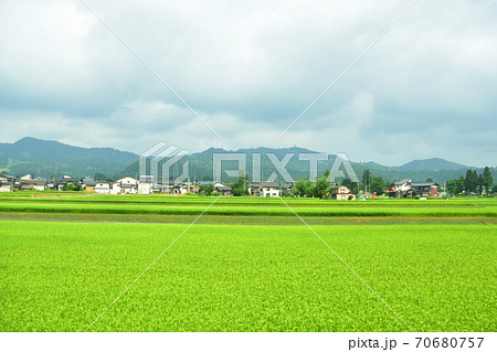 水上駅から六日町駅までの上越線車窓からの風景 水上駅から六日町駅までの上越線車窓からの風景 70680757