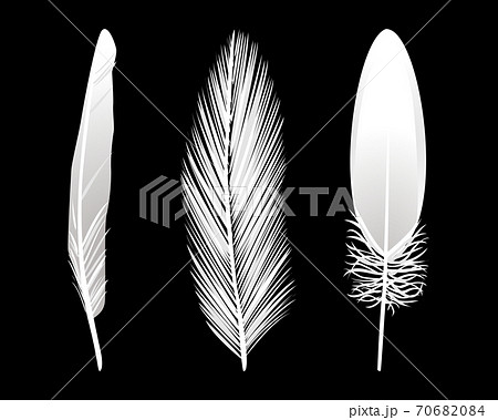 鳥の羽の白黒シルエットコレクションセットベクターイラスト素材のイラスト素材