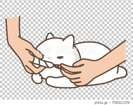 指にガーゼを巻き付けて猫の歯を掃除するのイラスト素材 7069
