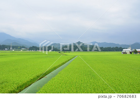 JR東日本只見線、小出駅から只見駅までの風景(2020年) JR東日本只見線、小出駅から只見駅までの風景(2020年) 70682683
