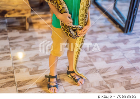 Smiling boy holding python in his hands 70683865