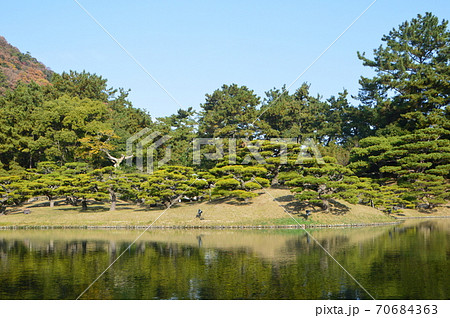 松の木･小島（栗林公園／香川県高松市） 70684363