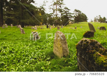 Old ancient Jewish cemetery historical place in Miory, Vitebsk region, Belarus. Mystical atmosphere, monuments covered by moss, green grass and yellow red autumn leaves, heavy grey sky 70685020