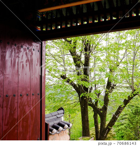 寺院 浮石寺 自然 70686143