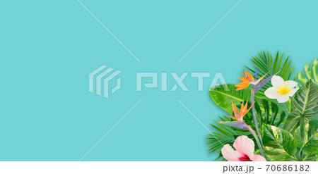 Tropical green leaves Tropical green leaves 70686182