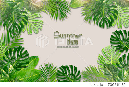 Tropical green leaves 70686183
