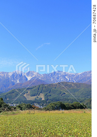 白馬村　野平から望む秋の白馬三山 70687428