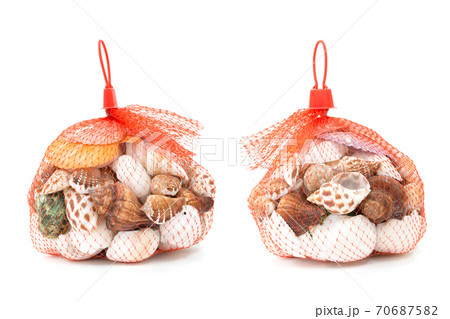 Sea shell in red net on white background 70687582