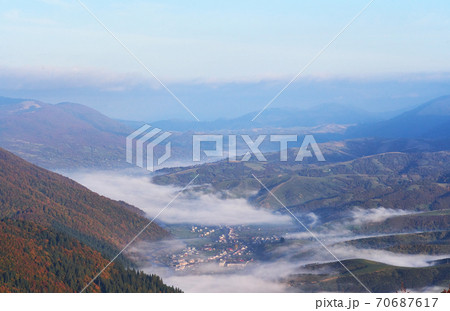 birch forest in sunny afternoon while autumn season. Autumn Landscape. 70687617