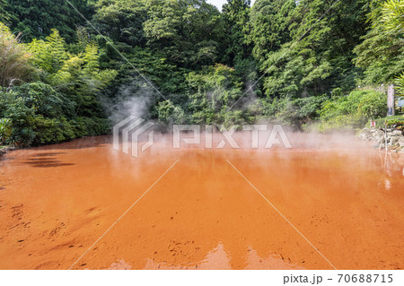 大分県別府市　別府地獄めぐり　血の池地獄 70688715