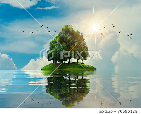 Island sea tree Summer vacation Relax Tree in the middle of the sea Island sea tree Summer vacation Relax Tree in the middle of the sea 70690128
