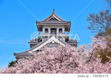 桜景　長浜城 70690179