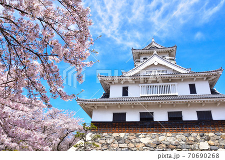 桜景 長浜城 桜景 長浜城 70690268