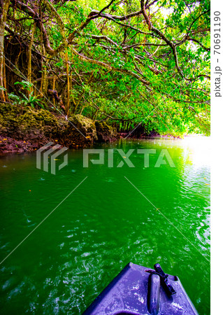 はじめての宮良川マングローブカヌー はじめての宮良川マングローブカヌー 70691190
