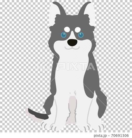 お座りするシンプルで可愛い灰色のシベリアン ハスキーのイラスト 主線なしのイラスト素材