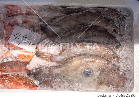 食材の宝庫 魚市場 食材の宝庫 魚市場 70692536