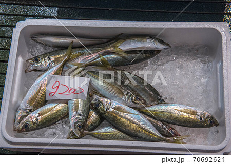 食材の宝庫 魚市場 食材の宝庫 魚市場 70692624