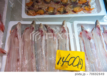 食材の宝庫　魚市場 70692649