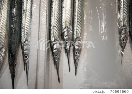 食材の宝庫　魚市場 70692660