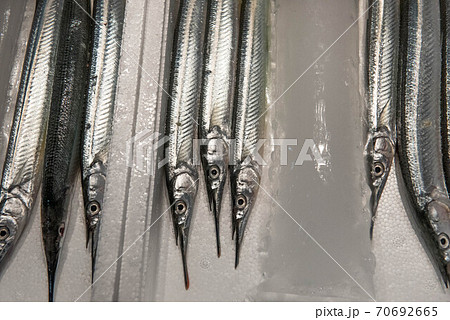 食材の宝庫 魚市場 食材の宝庫 魚市場 70692665