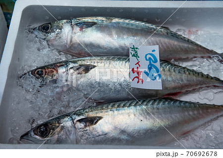 食材の宝庫　魚市場 70692678