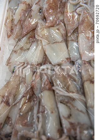 食材の宝庫 魚市場 食材の宝庫 魚市場 70692720