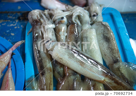 食材の宝庫 魚市場 食材の宝庫 魚市場 70692734