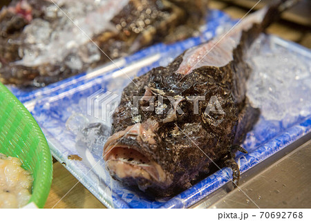 食材の宝庫 魚市場 食材の宝庫 魚市場 70692768