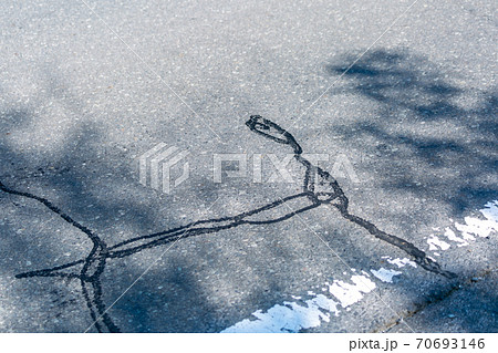 公道　通　白線　国道 70693146