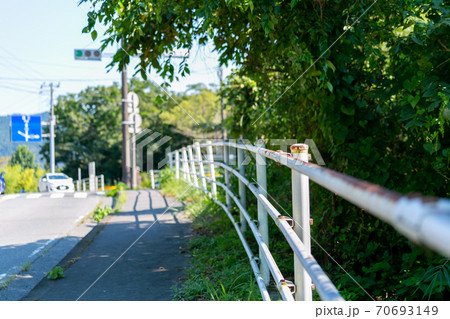 公道　通　白線　国道 70693149