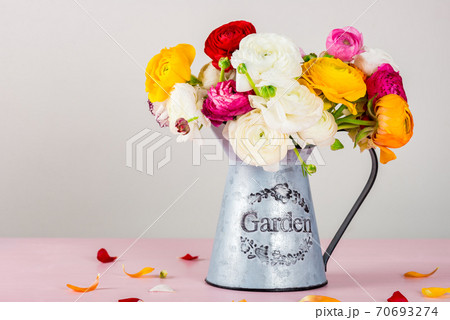 Ranunculus Buttercup Flowers of different colours Ranunculus Buttercup Flowers of different colours 70693274