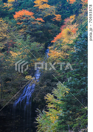 紅葉の三本滝 乗鞍高原 紅葉の三本滝 乗鞍高原 70693878