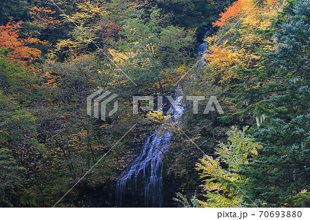 紅葉の三本滝 乗鞍高原 紅葉の三本滝 乗鞍高原 70693880