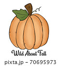 Wild About Fall - Thanks giving design in watercolor style. Vector illustration. 70695973