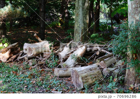 薪切り 薪切り 70696286