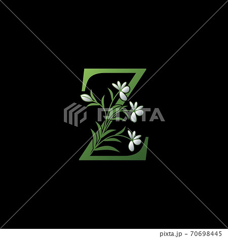 Green Nature Leaf Letter Z Initial Logo Icon Concept Monogram leaves with Letter Design 70698445